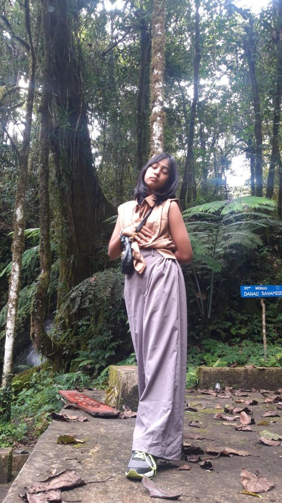 D-rima Homestay *