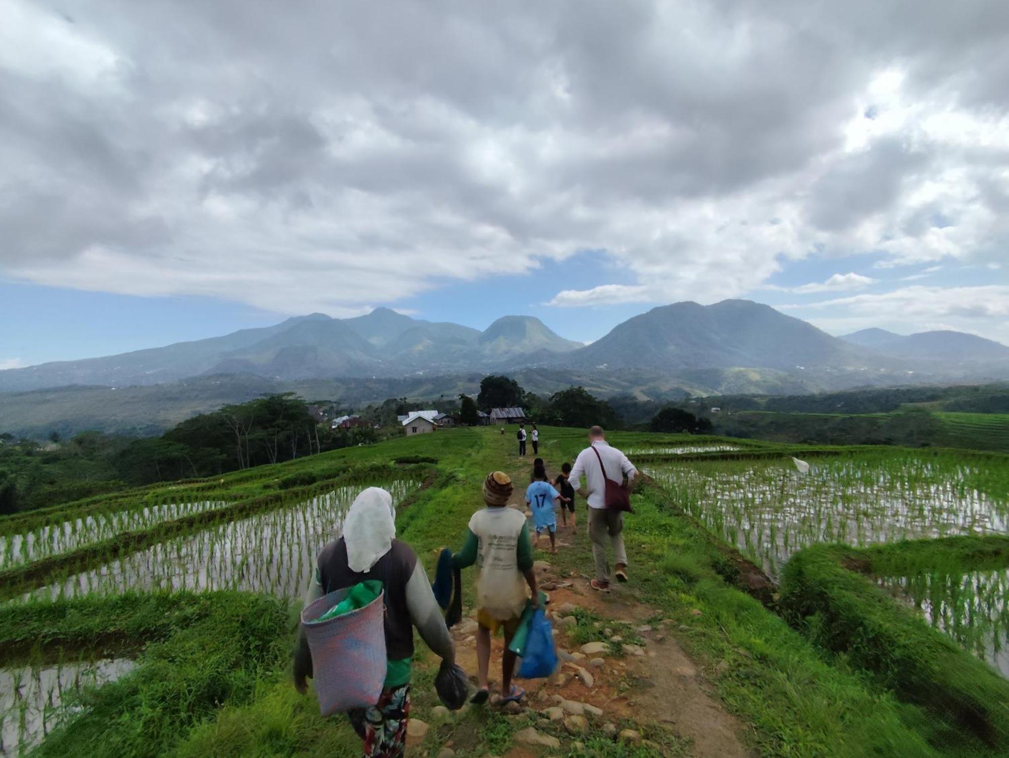Homestay D-rima
